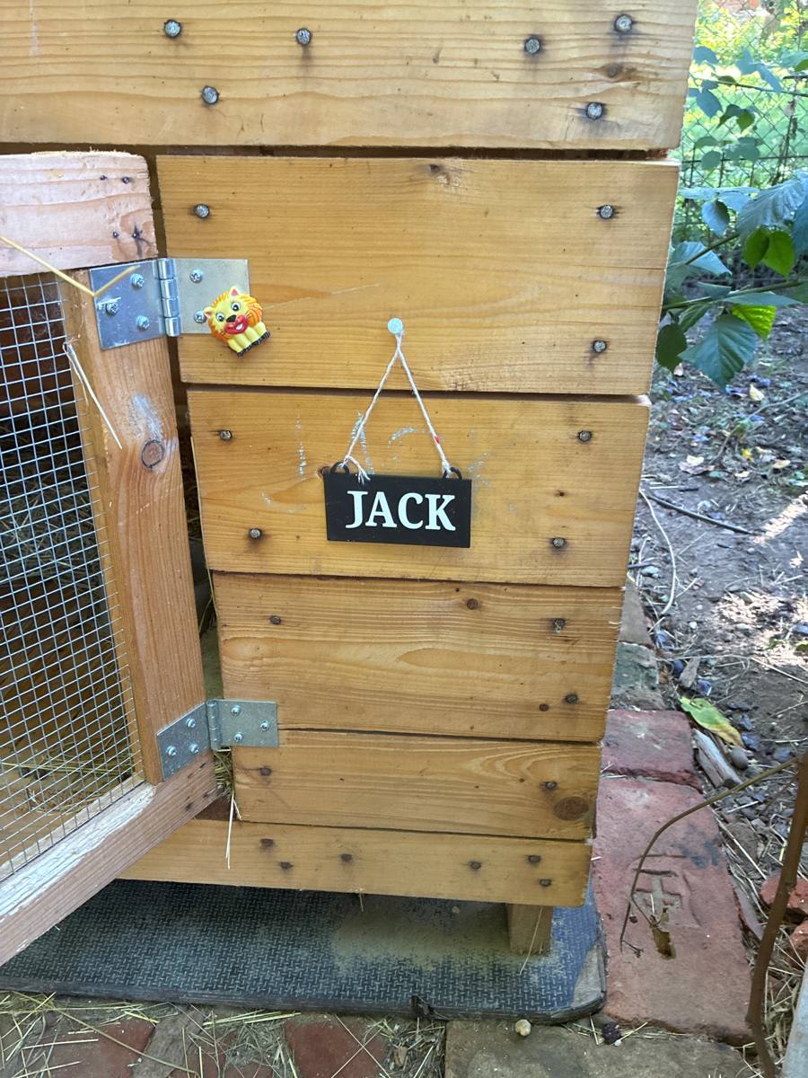 Jmenovka Pacík